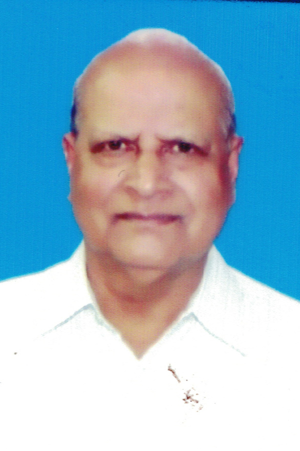 Narasimha Rao.Y.V.L