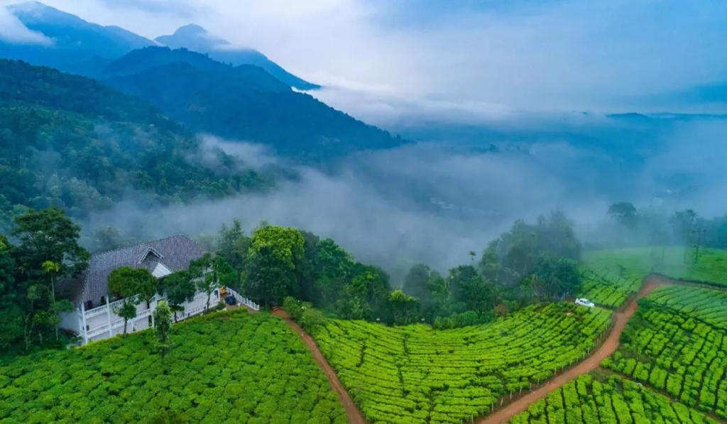 munnar