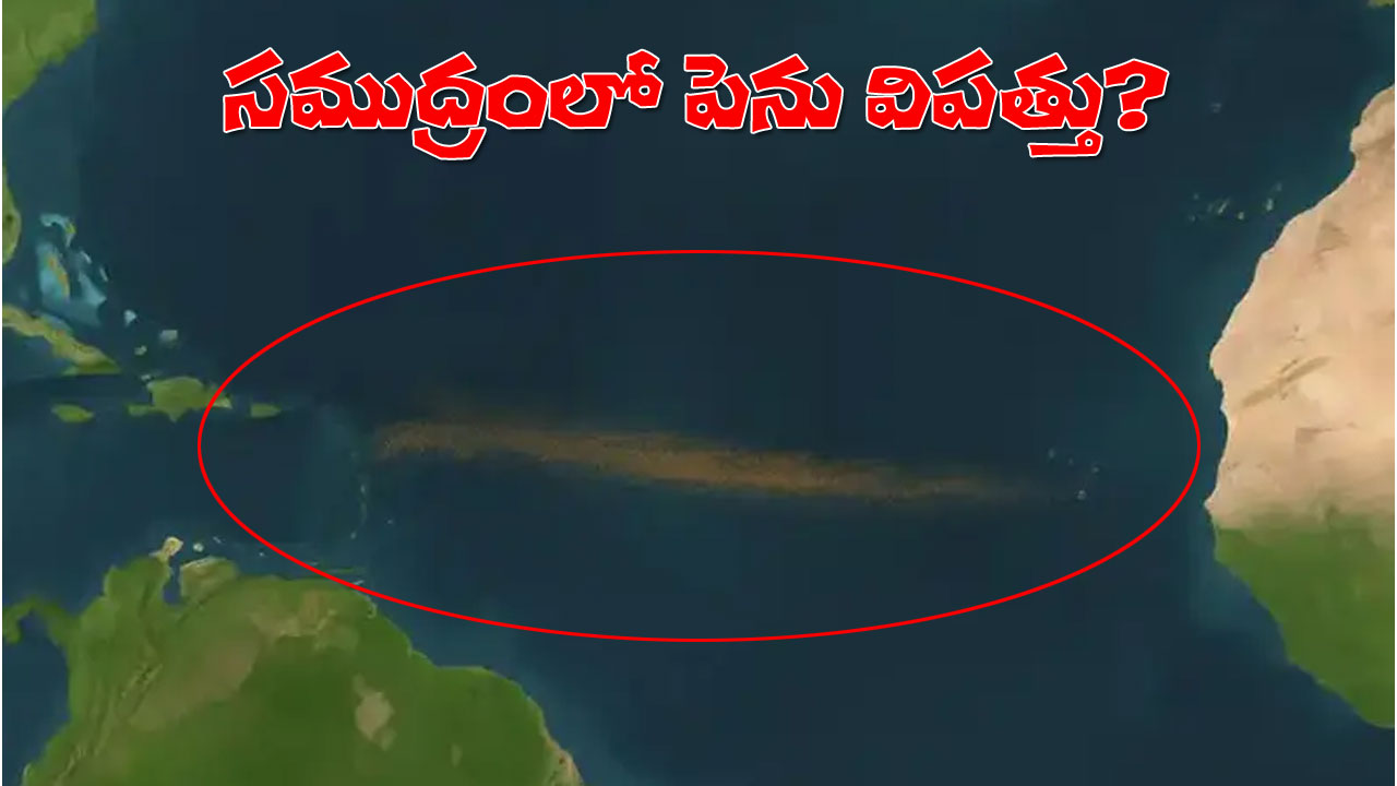 Giant Sargassum Belt | మహా సముద్రంలో కొత్త పెను విపత్తు! సవాలు విసురుతున్న గ్రేట్‌ అట్లాంటిక్‌ సర్గాసం బెల్ట్‌!