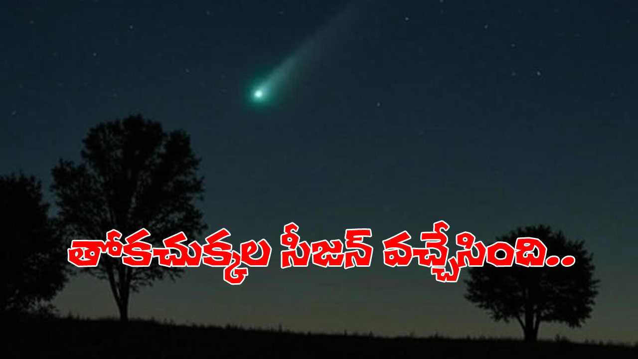 Comet season October | గగన సీమలో మరోసారి తోకచుక్కల సీజన్‌.. కంటితో చూడగలిగేది ఎప్పుడంటే..