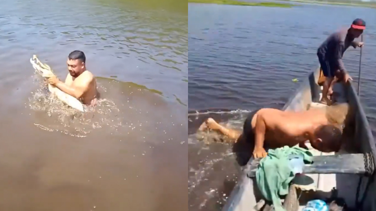 Crocodile Attack