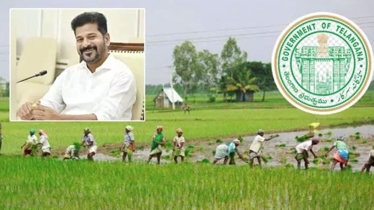 Paddy Bonus 2026