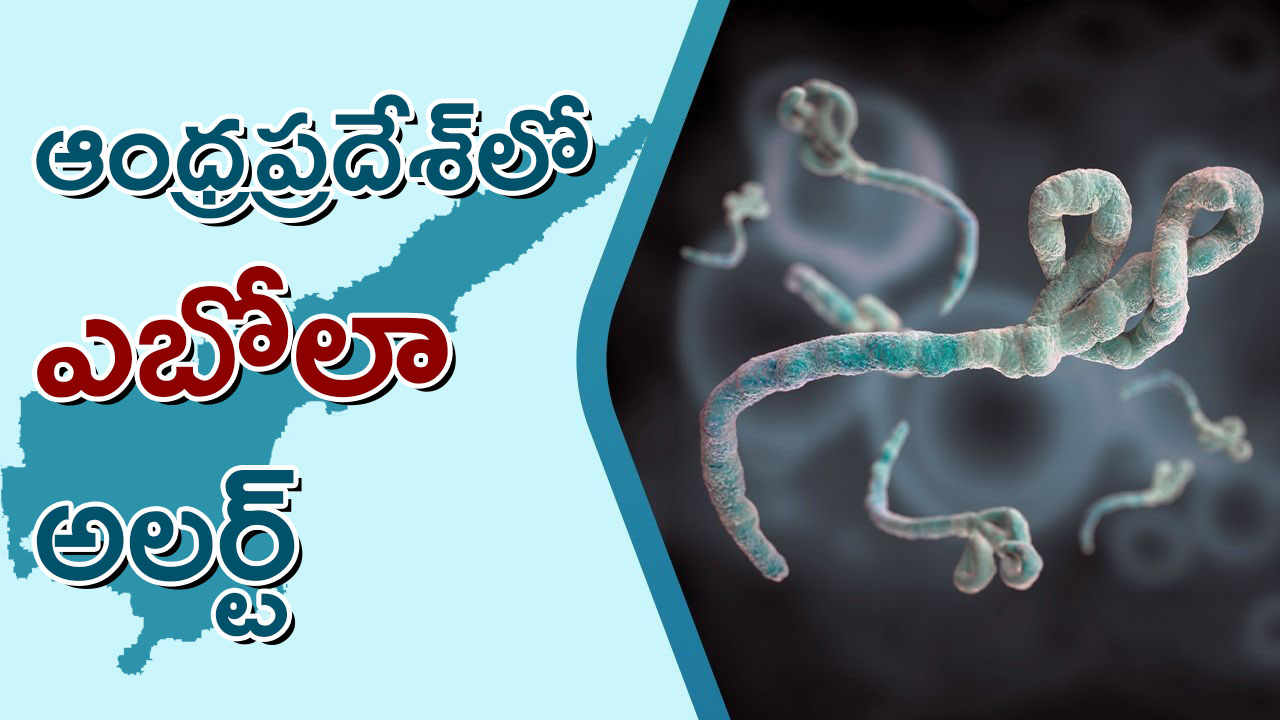 ఆంధ్రప్రదేశ్​లో ఎబోలా అలర్ట్‌.. ఎయిర్‌పోర్టుల్లో స్క్రీనింగ్‌, ఆసుపత్రుల్లో ఐసోలేషన్‌ వార్డులు