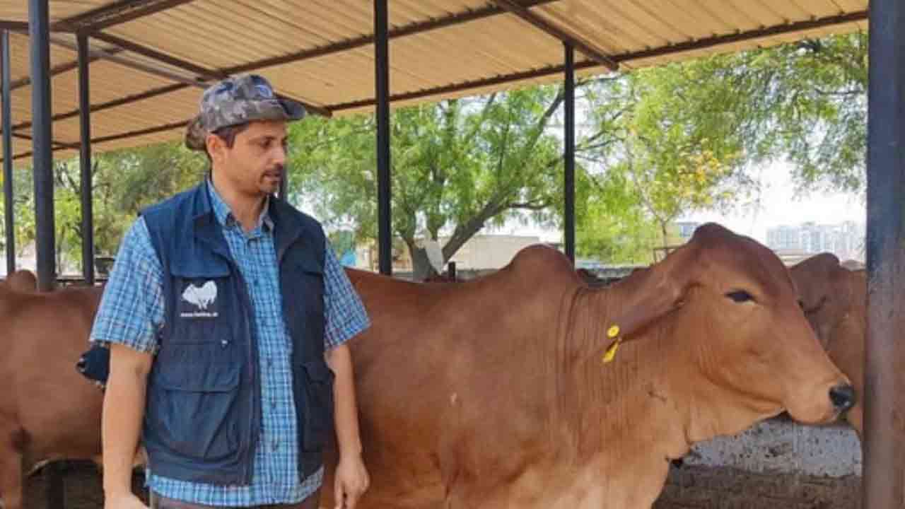 Desi Cow Farming | సాఫ్ట్‌వేర్ జాబ్ వదిలి దేశీ ఆవుల పెంపకం.. డెయిరీ ఫామ్‌తో ఏటా 10 కోట్ల టర్నోవర్ చేస్తున్న టెకీ!