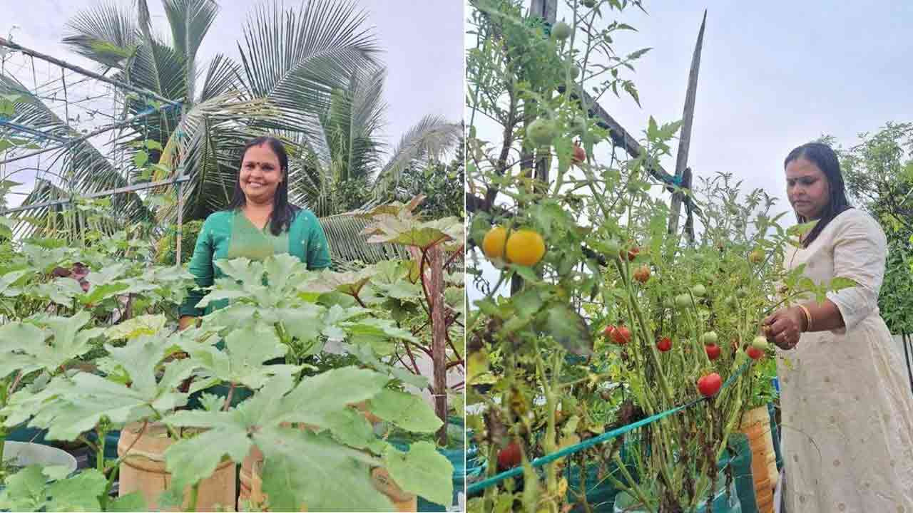 Terrace Gardening | ఇంటి మేడపైనే కూరగాయల సాగు.. నెలకు 5వేలు ఆదా చేస్తున్న కేరళ గృహిణి