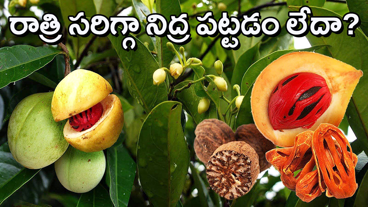 రాత్రిపూట సరిగ్గా నిద్రపట్టడం లేదా?.. పాలల్లో జాజికాయ పొడి – గాఢ నిద్ర గ్యారెంటీ.!