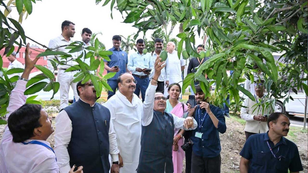 వండర్.. ఒకే చెట్టుకు 234 రకాల మామిడిపండ్లు !