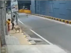 రేపిస్ట్ నుంచి మహిళను కాపాడిన శునకం