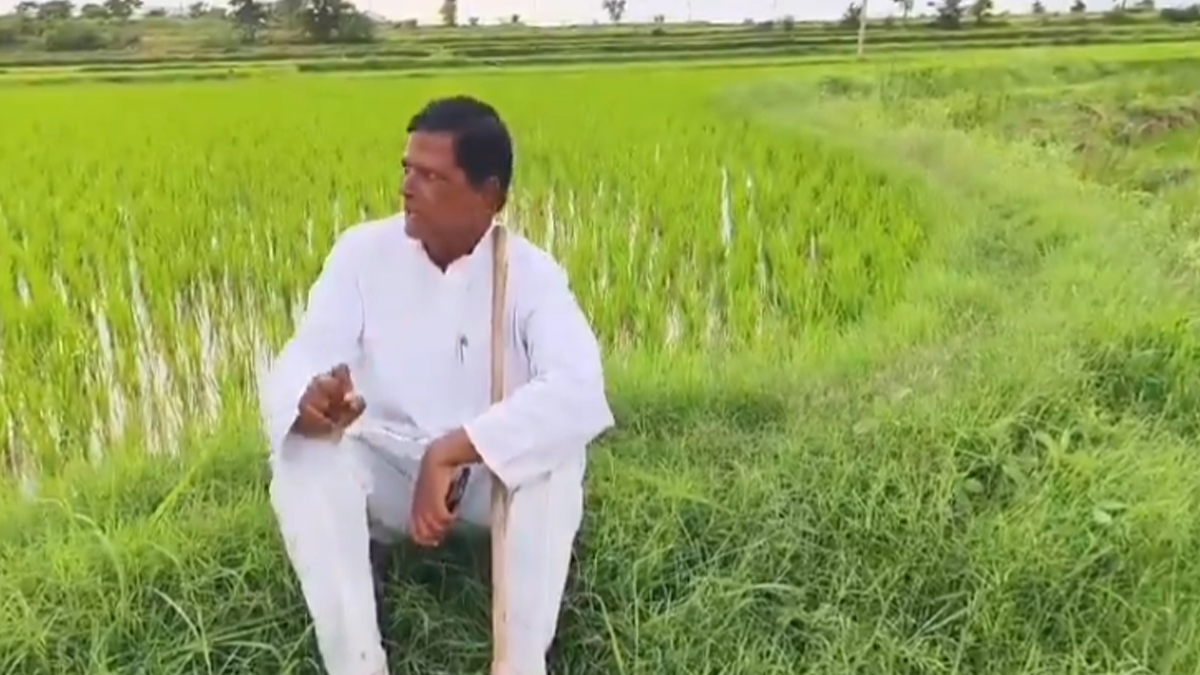 నాపై వేటుకు మల్లు రవినే కారణం : చిన్నారెడ్డి ఫైర్